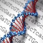 How to Choose a DNA RNA Oligonucleotide Synthesizer