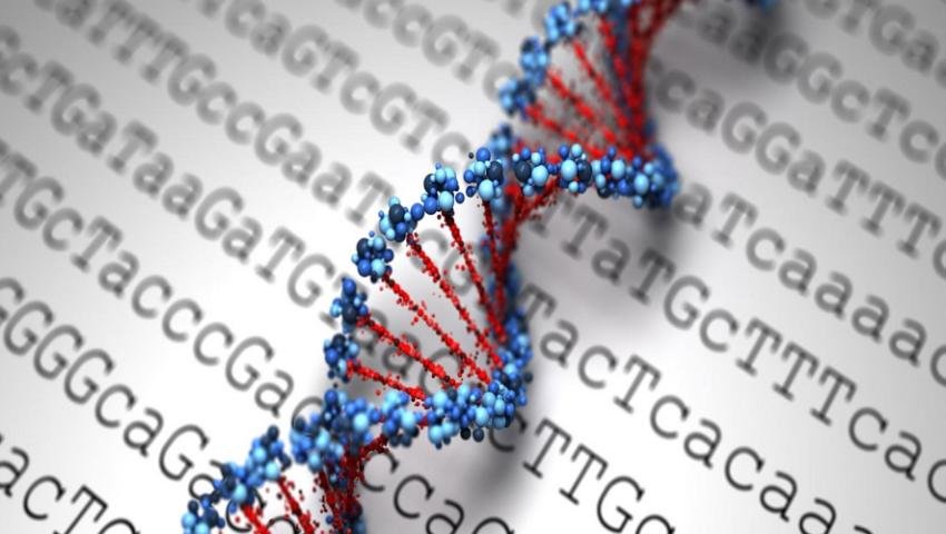 How to Choose a DNA RNA Oligonucleotide Synthesizer